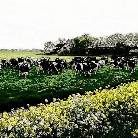 Farmer Farmyard Stays, Sleep Easy, Rural, Explore Campsite