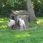 Farmer Farmyard Stays, Sleep Easy, Rural, Explore Campingplads Amsterdam