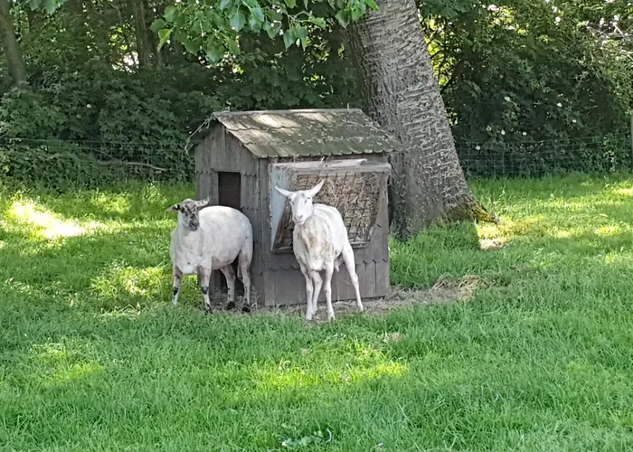 Farmer Farmyard Stays, Sleep Easy, Rural, Explore Κάμπινγκ Άμστερνταμ