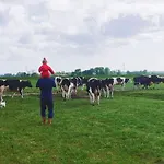 Farmer Farmyard Stays, Sleep Easy, Rural, Explore مكان تخييم *