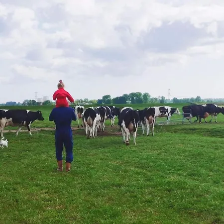 Farmer Farmyard Stays, Sleep Easy, Rural, Explore Campsite *